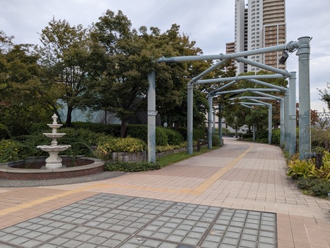 PXL_20251021_053957944