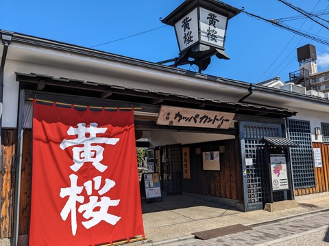 PXL_20240325_020751945