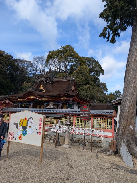 PXL_20260101_022537669