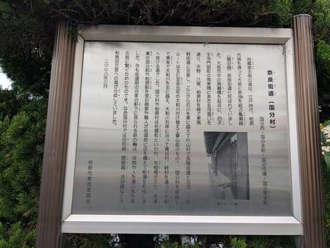 PXL_20260407_001527144