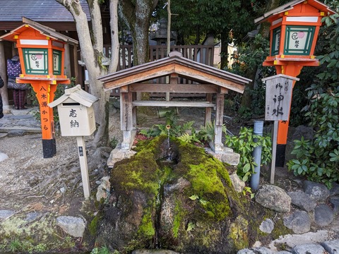 PXL_20240109_043035730