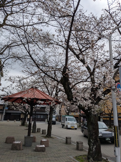 PXL_20250401_004921715