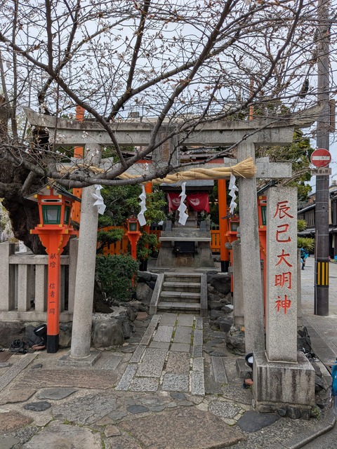 PXL_20250401_005933791
