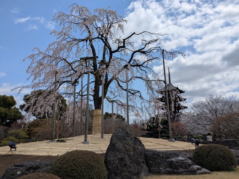 PXL_20250404_035408202