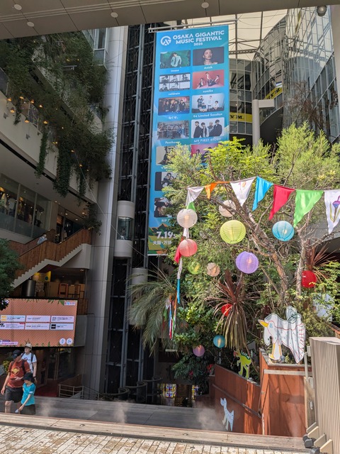 PXL_20250627_043823828