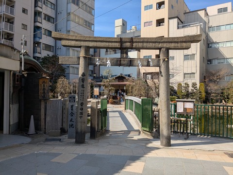 PXL_20260317_051357076