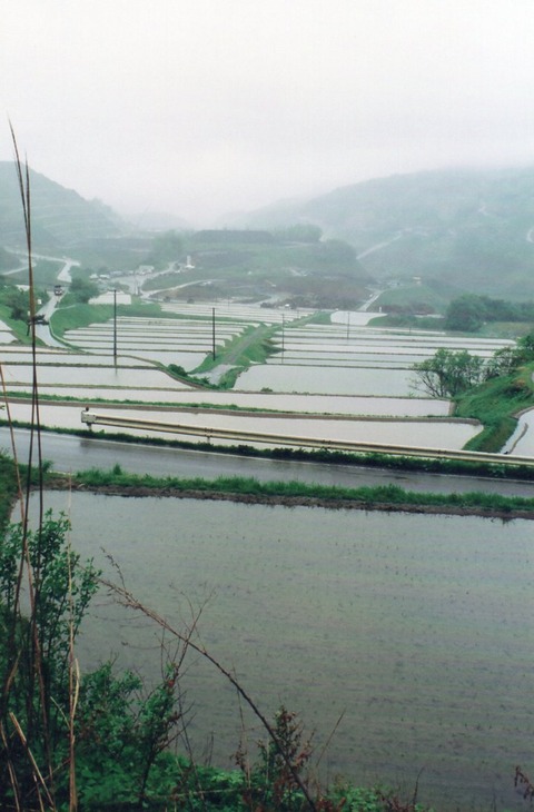 img20240811_14023491