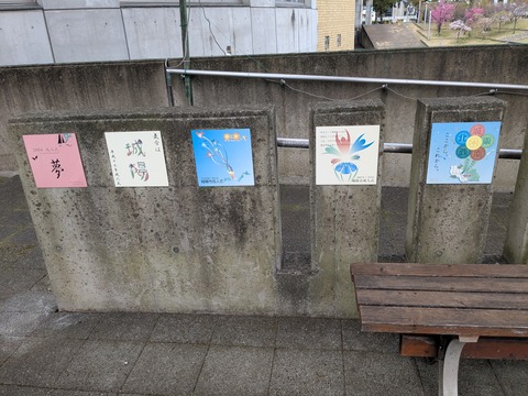 PXL_20250404_011229783