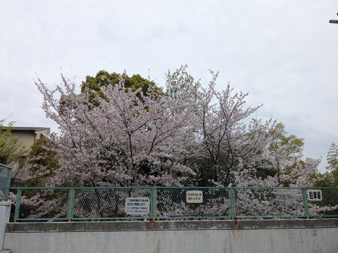 PXL_20260407_003842065