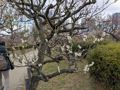 PXL_20250307_040320039
