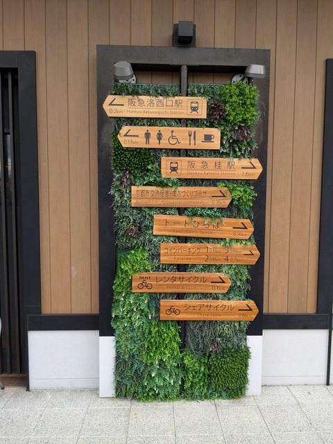 PXL_20241015_013901087