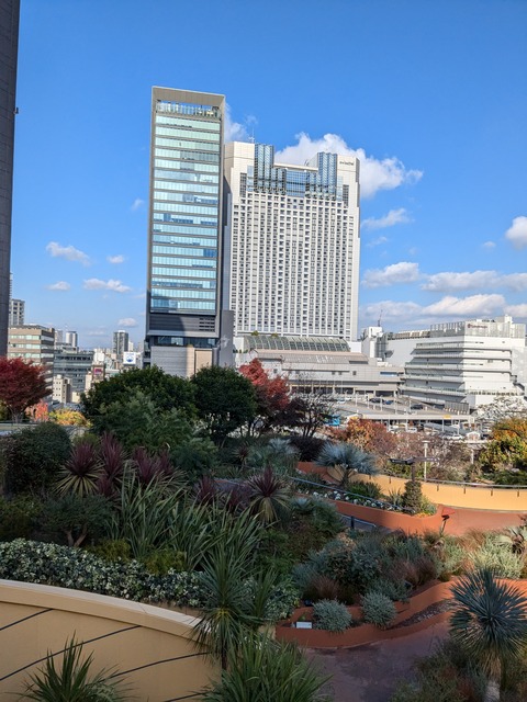 PXL_20241217_015841718.MP