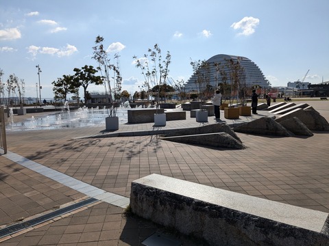 PXL_20241210_031913835