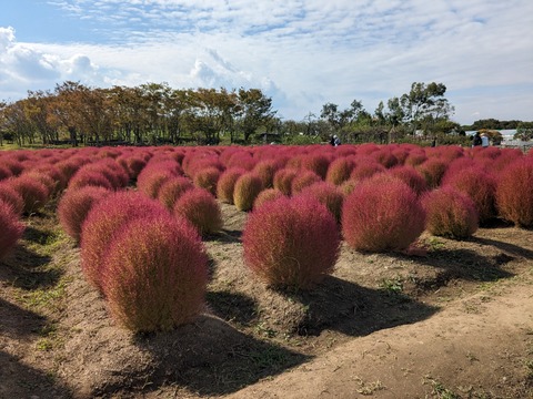 PXL_20231020_005518105