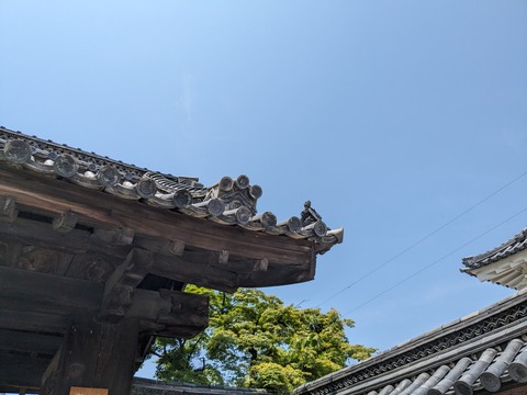 PXL_20240526_025129470