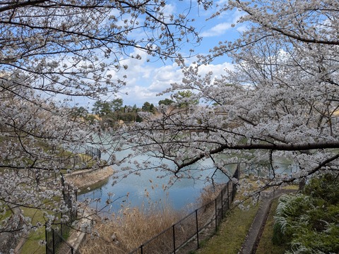 PXL_20250403_032351220