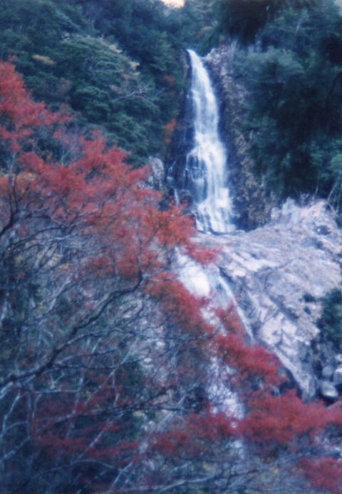 img20231016_15004417