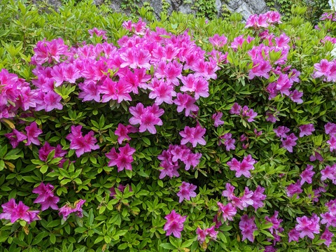 PXL_20230424_004959625