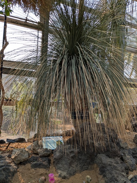 PXL_20250416_050930430