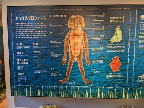 PXL_20240327_021322086