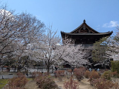 PXL_20250404_040106320