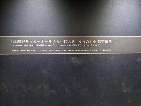 PXL_20230905_054431825