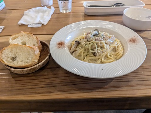 PXL_20241012_024813671.MP