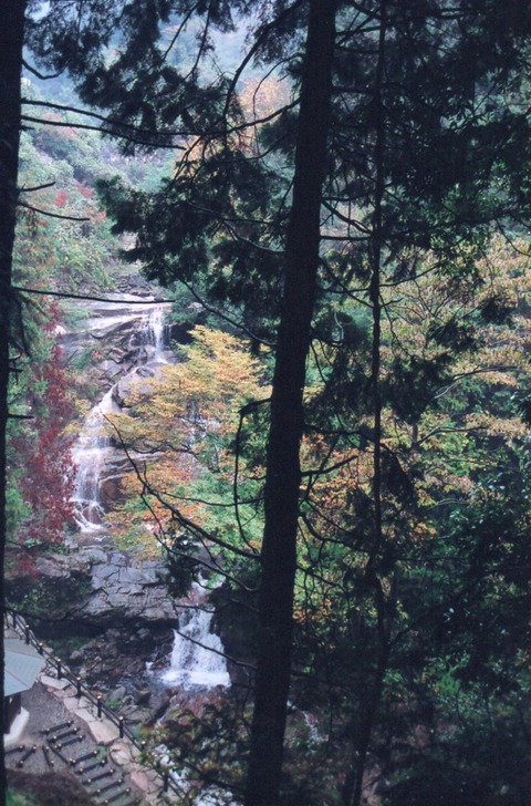 img20231112_15083697