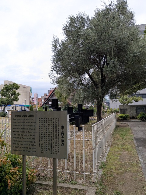 PXL_20251106_010536532.MP