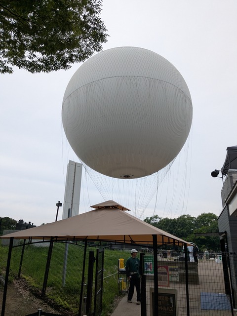 PXL_20260609_040846382.MP