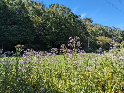 PXL_20230925_004905014
