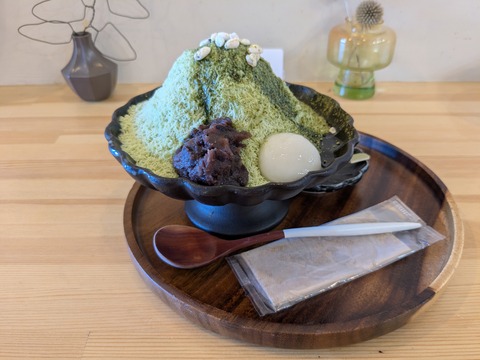 PXL_20250819_051720538