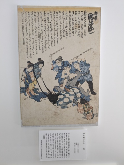 PXL_20240209_021856276