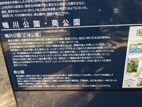 PXL_20231121_012010932