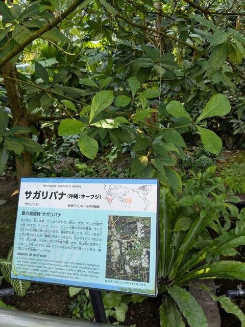 PXL_20250416_043621510