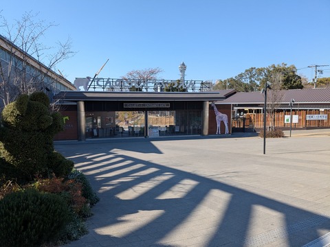 PXL_20250225_051914383
