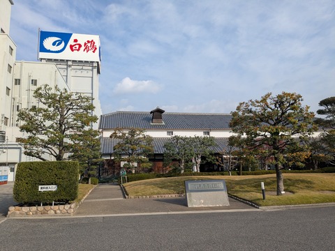 PXL_20251202_003759096