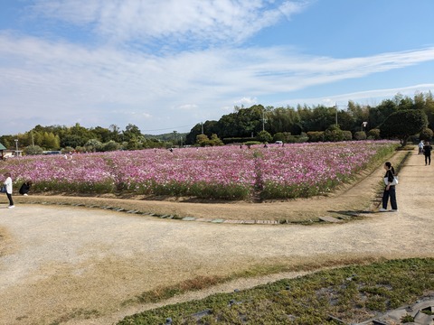 PXL_20231020_005900665