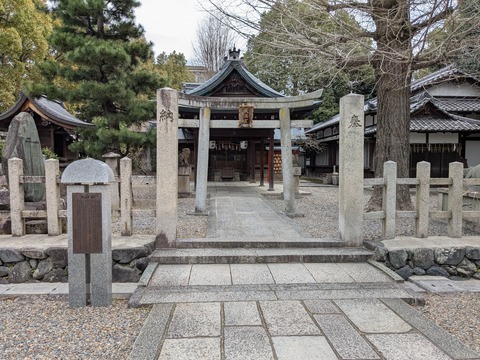 PXL_20250401_015101798