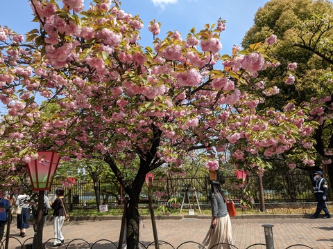 PXL_20230411_034601909