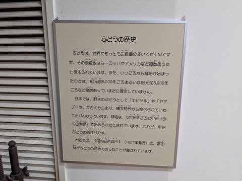 PXL_20260407_004531149