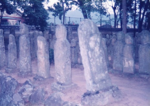 img20230903_14400582