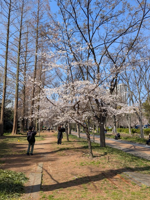 PXL_20260327_011230293