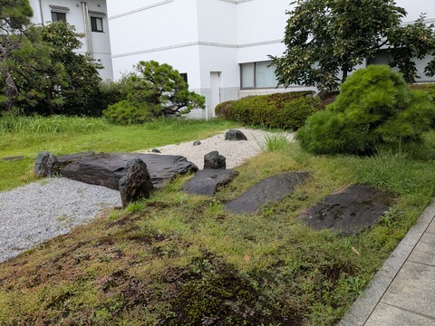 PXL_20250923_011507108