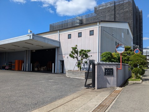 PXL_20241010_025741170