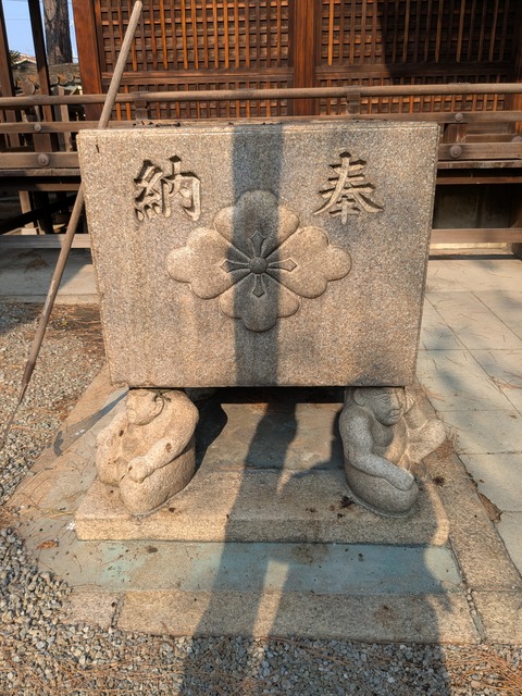 PXL_20250131_012234320