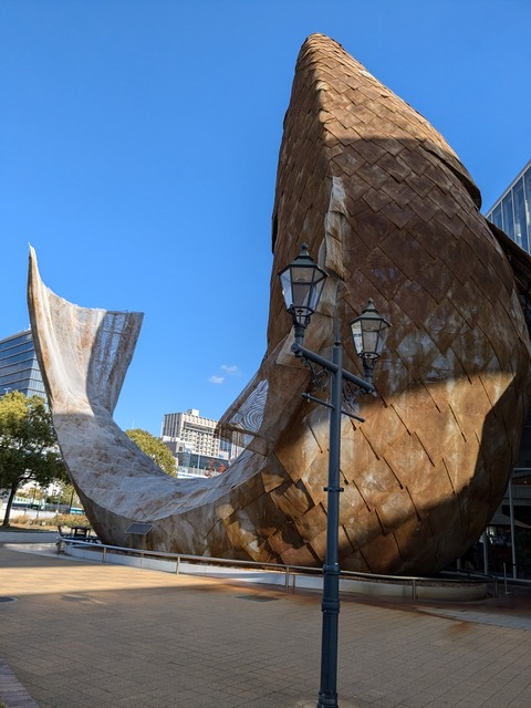 PXL_20241210_031548250