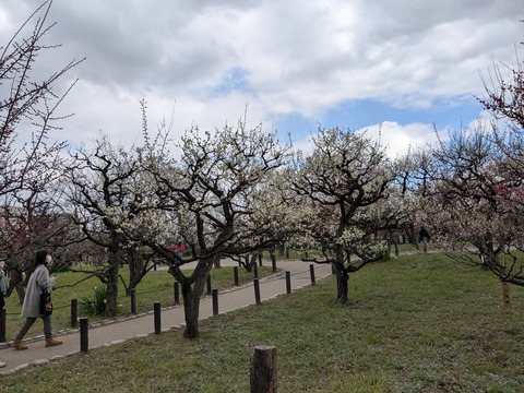 PXL_20250307_040548352