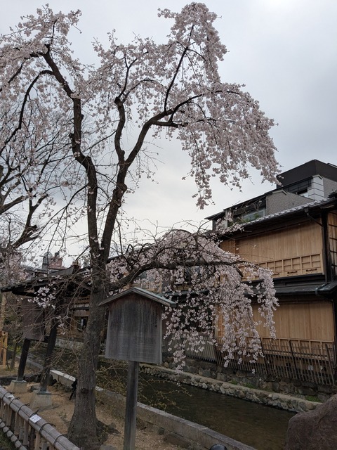 PXL_20250401_010313574