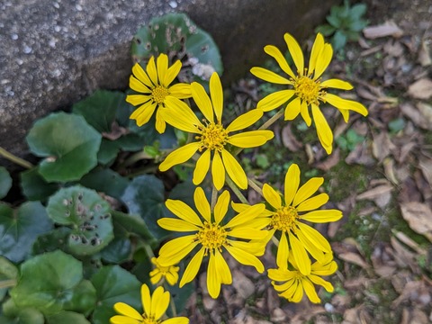 PXL_20231115_034505932.PORTRAIT